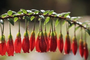 珠海斗门区7私人快速借钱网，轻松解决资金难题