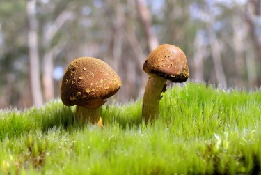 珠海斗门区7私人老板放款：轻松融资的秘密通道